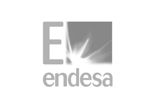Endesa, electricity and gas sectors