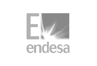 Endesa, sectores eléctrico y gasístico